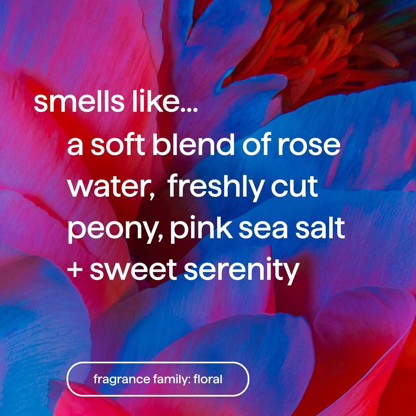 Floral Rose Peony Fragrance Cream 20g