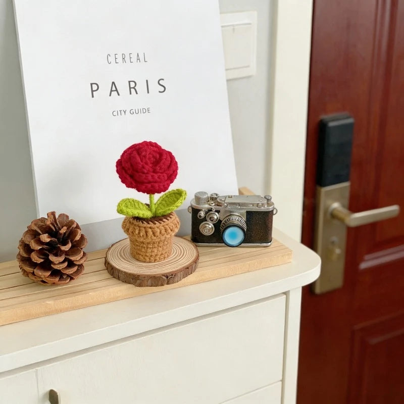 Knitted Flower Pot Red Heart Home Decor Gift