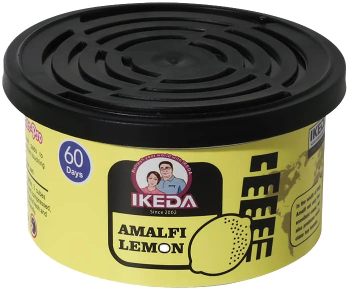 Organic Car Odor Eliminator