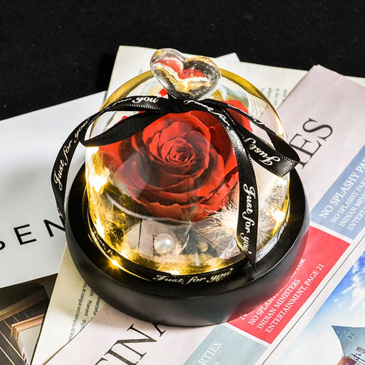 Eternal Rose Glass Dome LED Light Gift