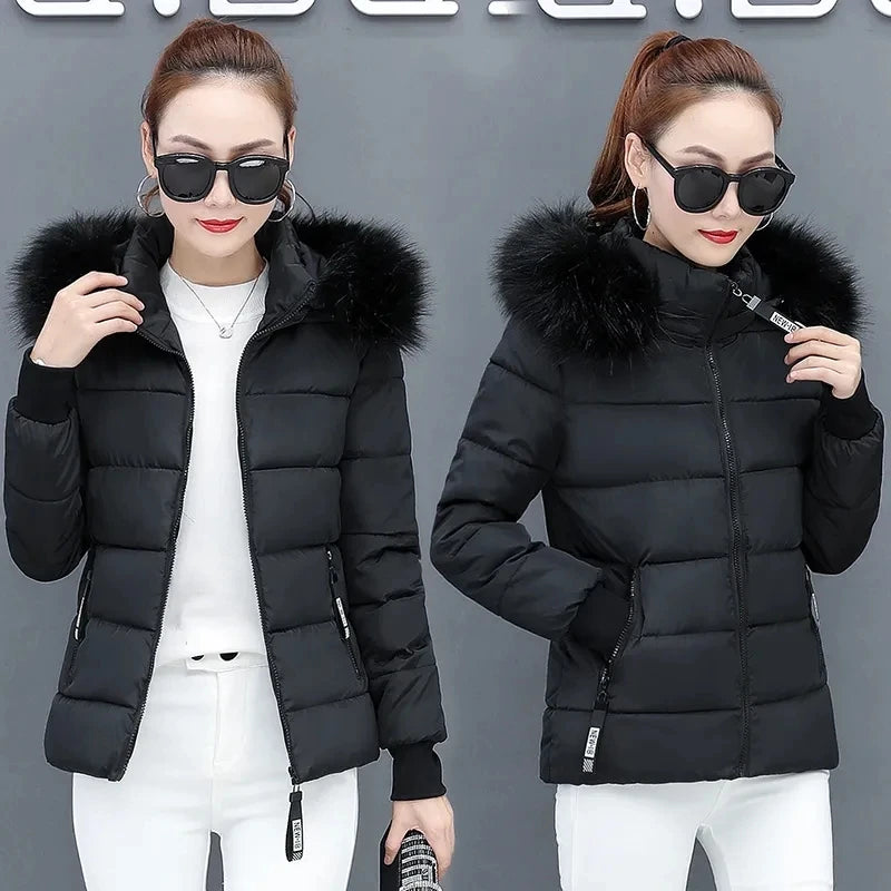 Korean Padded Women Parka