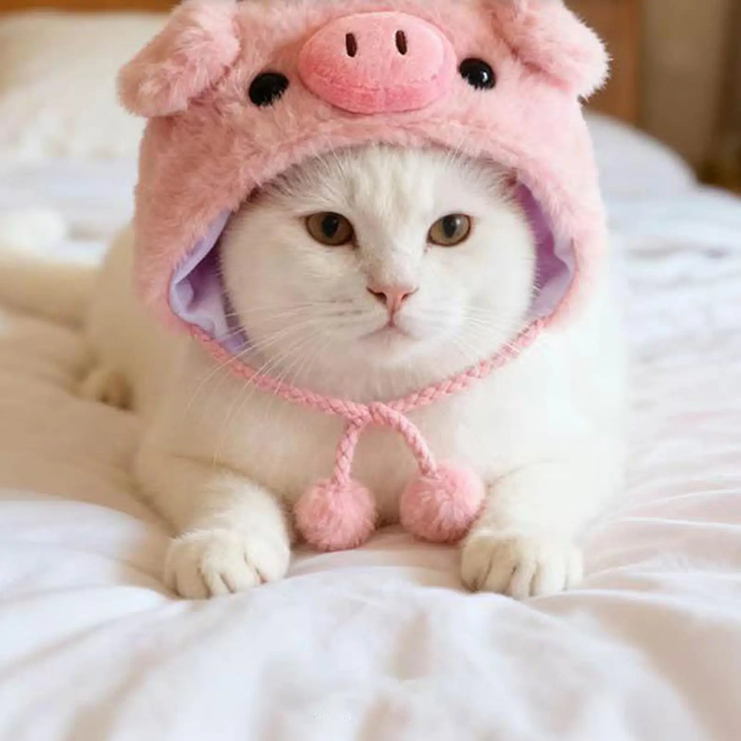 Funny Pet Costume Hat
