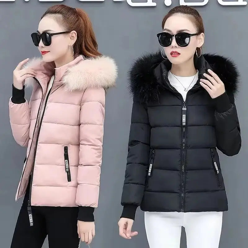 Korean Padded Women Parka