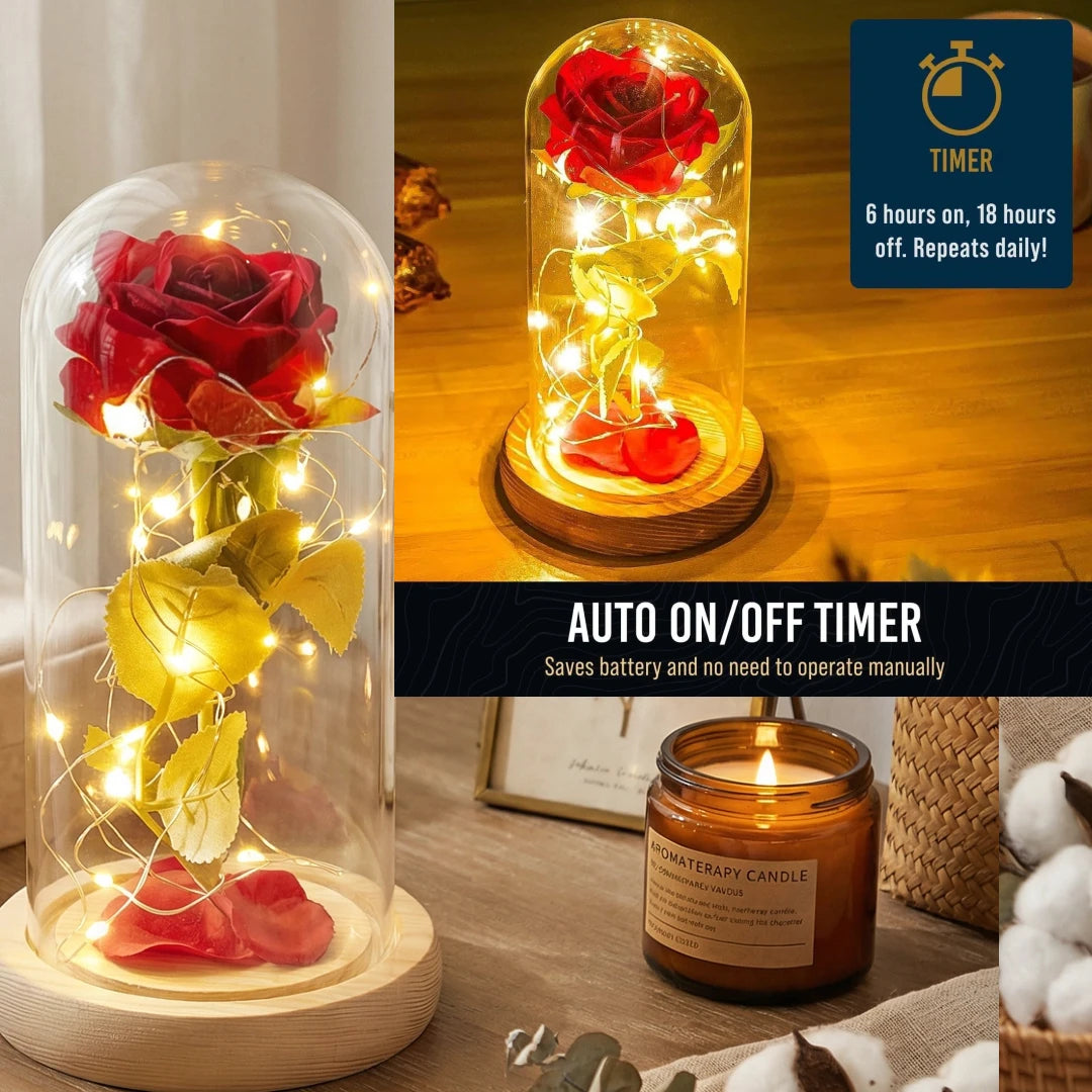 Eternal Rose LED Timer Gift Mom Valentine