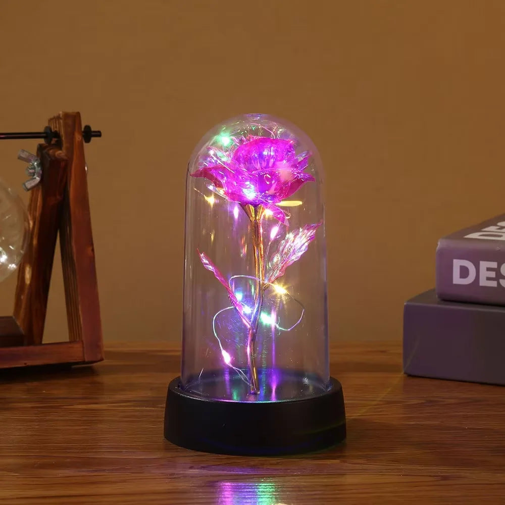 Eternal Rose LED Glass Cover Gift