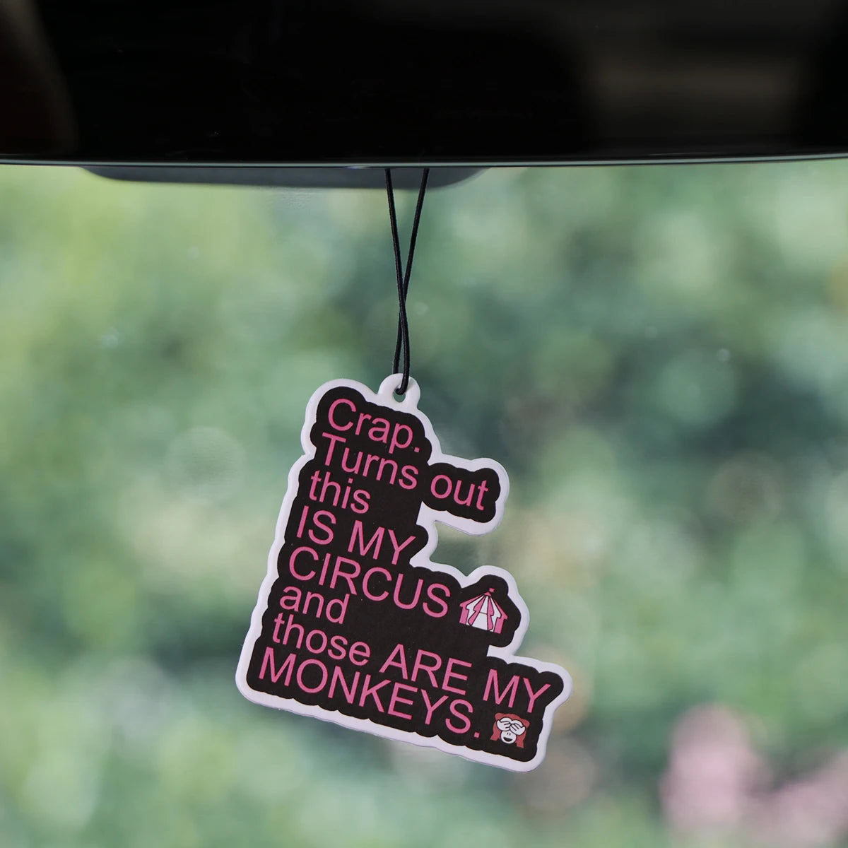Car Hanging Solid Perfume Air Freshener