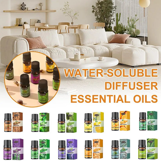 Essential Oils Set 12 Scents