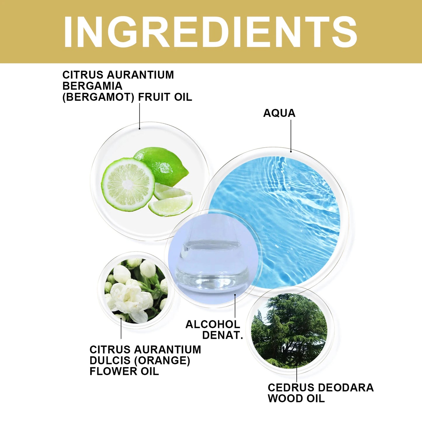 Unisex Bergamot Light Fragrance Perfume 50ml
