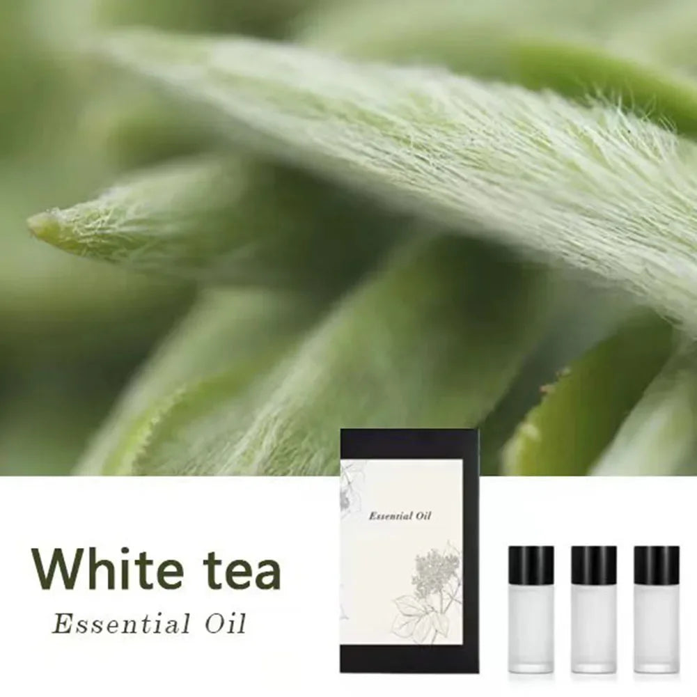 Aromatherapy Oil Set 3 Scents Car Diffuser 10ml