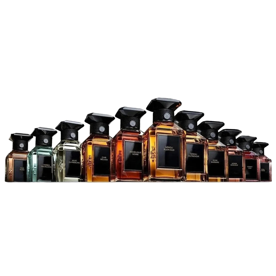 Unisex Musk Jasmine Cologne Perfume 100ml