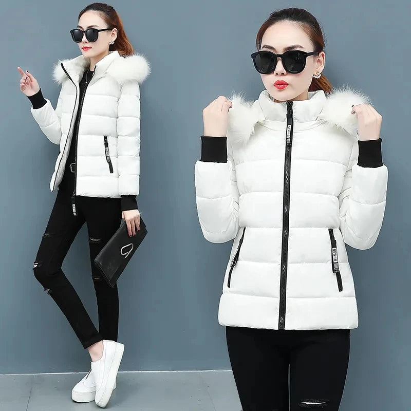 Korean Padded Women Parka