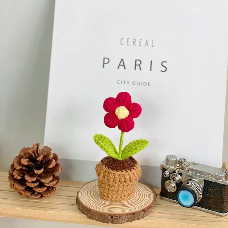Knitted Flower Pot Red Heart Home Decor Gift