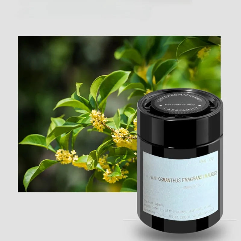 Solid Car Perfume Balm