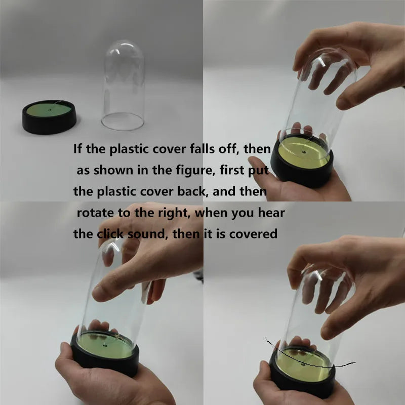 Glowing Rose Plastic Dome LED Decor Gift