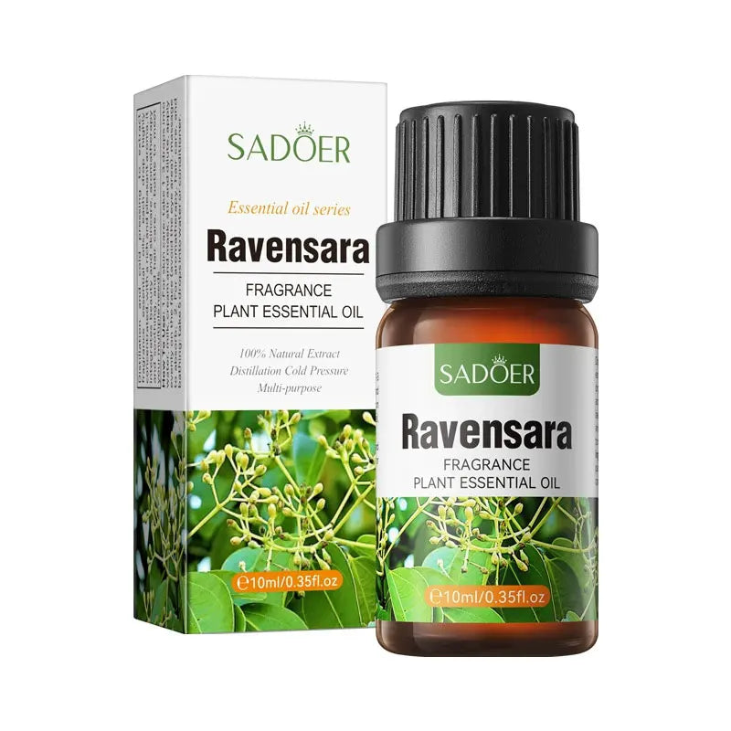 Organic Essential Oils Set