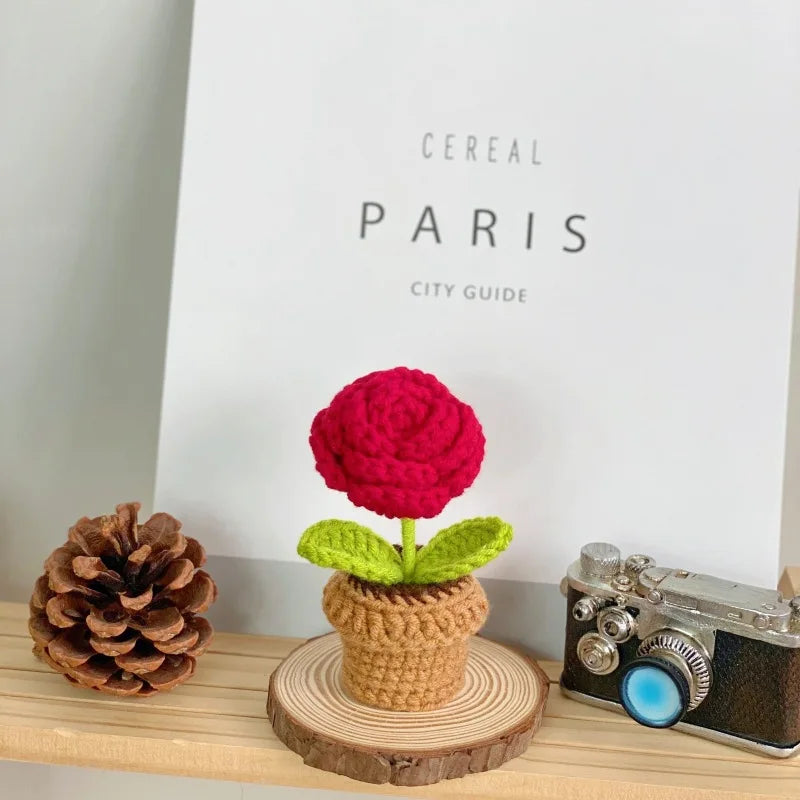Knitted Flower Pot Red Heart Home Decor Gift