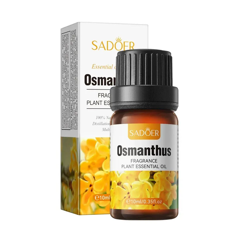 Organic Essential Oils Set