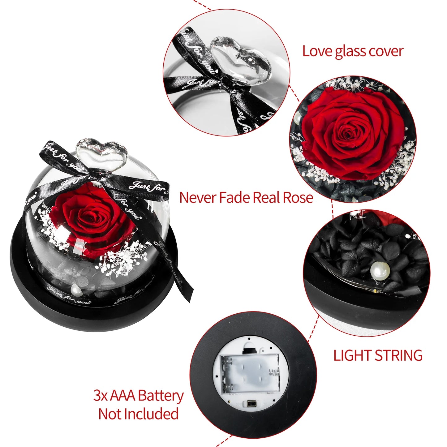 Eternal Rose Glass Dome LED Light Gift