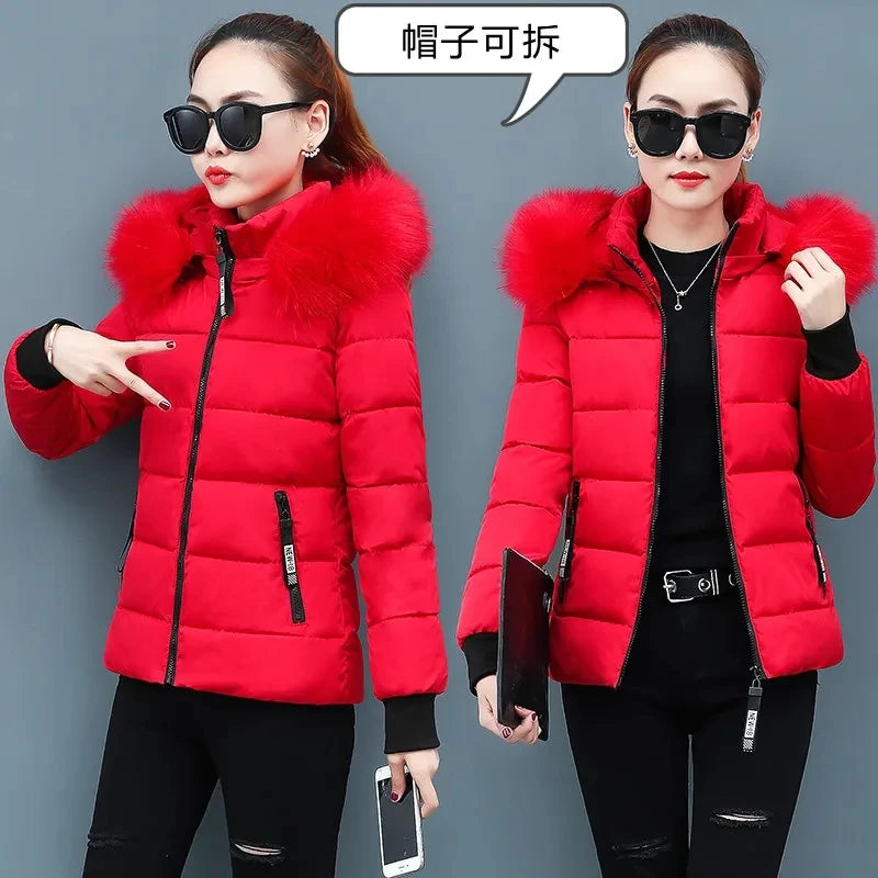 Korean Padded Women Parka