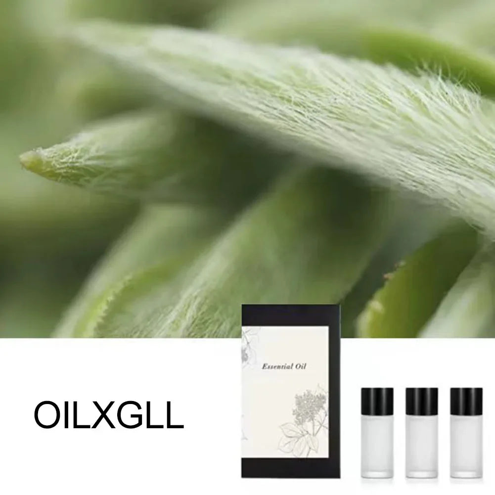 Aromatherapy Oil Set 3 Scents Car Diffuser 10ml