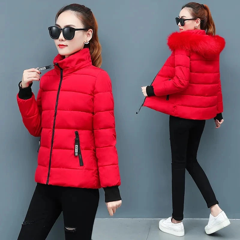 Korean Padded Women Parka