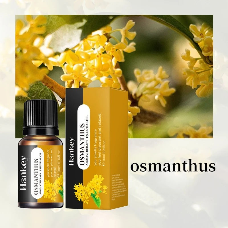 Essential Oil Set 20 Scents Aroma Diffuser 10ml