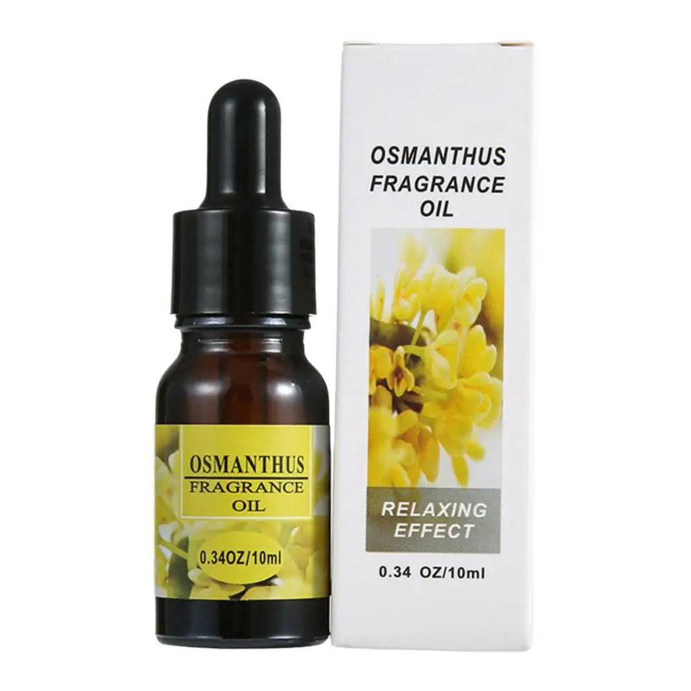 Aromatherapy Essential Oil Set Car Home 10ml