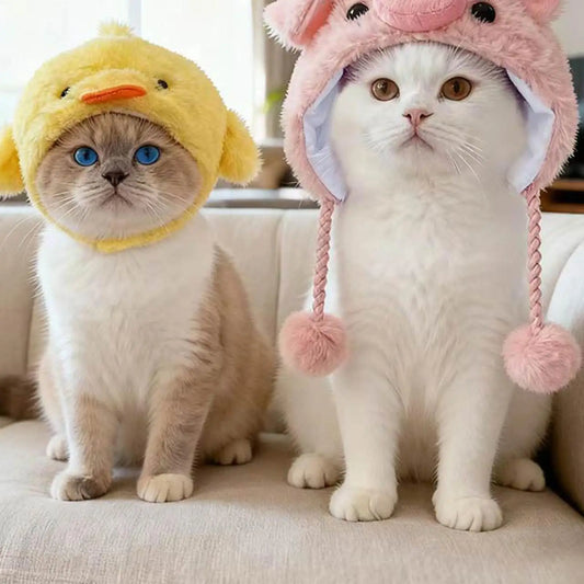 Funny Pet Costume Hat